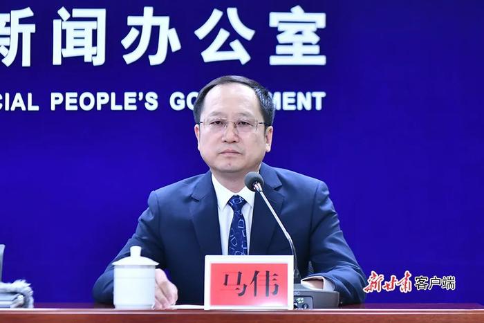 实录丨“2024年上半年经济高质量发展”主题系列新闻发布会——省能源局专场