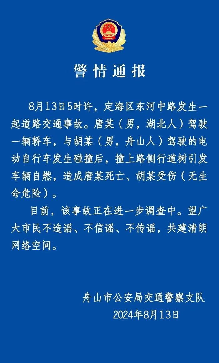 “怎么油车也一撞就着”？保时捷撞电动自行车后撞树起火，1死1伤！上半年营业利润降两成