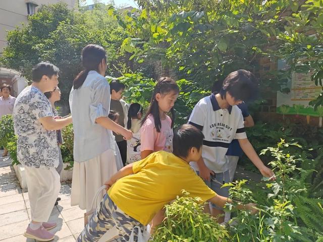 上海长宁请来“植物爷爷”，带孩子们探索这些秘密