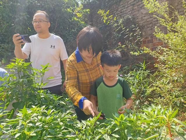 上海长宁请来“植物爷爷”，带孩子们探索这些秘密