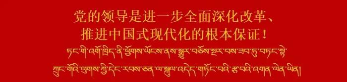 坚持党的全面领导，确保改革始终沿着正确政治方向前进——论学习贯彻党的二十届三中全会精神