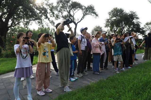 国家植物园举办全国生态日系列活动 在这里可观测到200种鸟