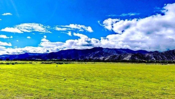 黑颈鹤国家级自然保护区已修复现状。图片来源:最高检