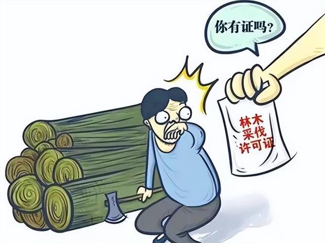 以案释法 | 你办证了吗？无证滥伐林木不可取，当心违法或入刑！