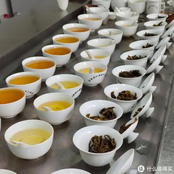 淘宝上有什么值得推荐的茶叶店铺？