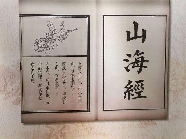 铸牢共同体 中华一家亲 ｜ 贺兰山下枸杞红