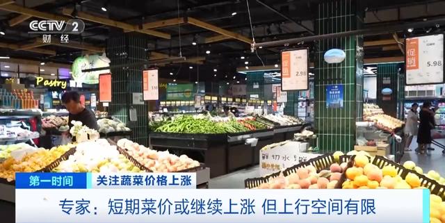 家常菜价格“不家常”？黄瓜批发价涨超40%！还会再涨吗？