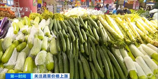 家常菜价格“不家常”？黄瓜批发价涨超40%！还会再涨吗？