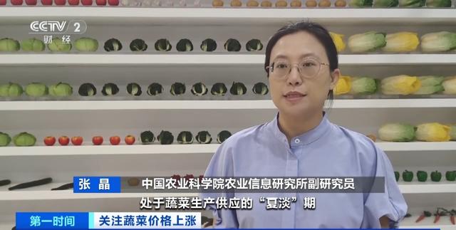 家常菜价格“不家常”？黄瓜批发价涨超40%！还会再涨吗？