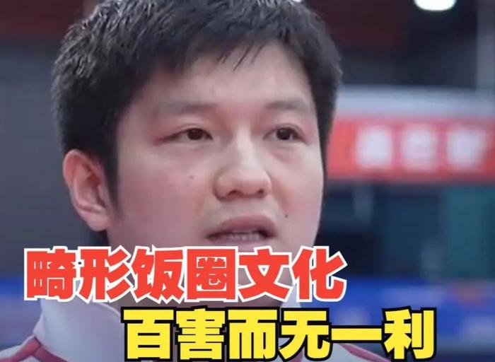 樊振东直言饭圈文化“有百害而无一利”，这届粉丝听劝行不行？