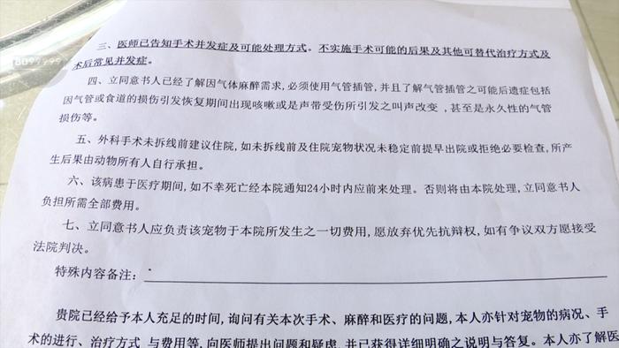 “肚子就炸开了，肠子掉出来！”罗阿姨的宠物狗手术5天之后