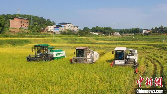 重庆万州：风吹稻浪谷飘香 “机械能手”助力金秋丰收