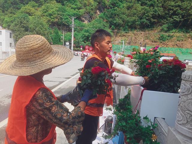 陕西宁陕：花卉扮靓街景 提升城市“颜值”