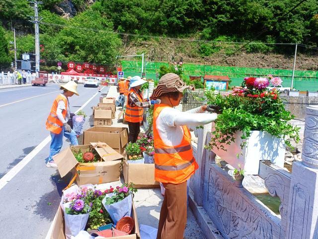 陕西宁陕：花卉扮靓街景 提升城市“颜值”