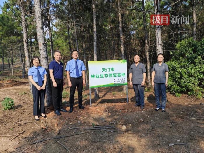 林业生态修复有了“家”,非法捕鸟人在基地开展公益劳动(图1) 林业生态修复有了“家”,非法捕鸟人在基地开展公益劳动(图1)