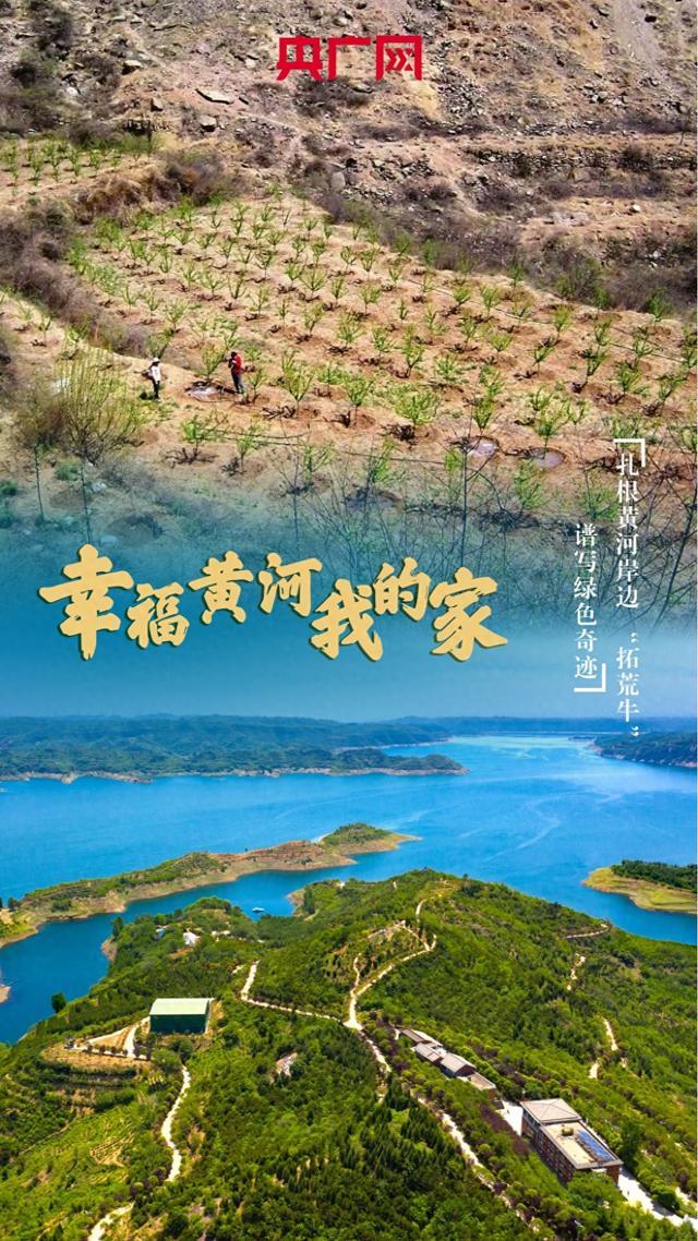 幸福黄河我的家丨扎根黄河岸边 “拓荒牛”谱写绿色奇迹