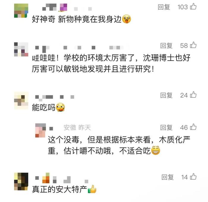 大学校园内首次发现！评论亮了