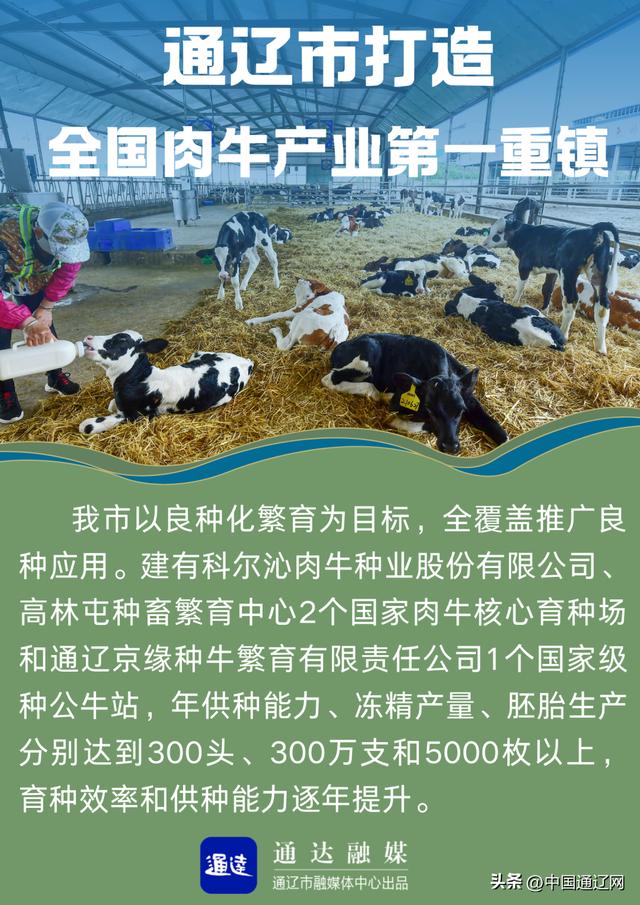 通辽市打造全国肉牛产业第一重镇