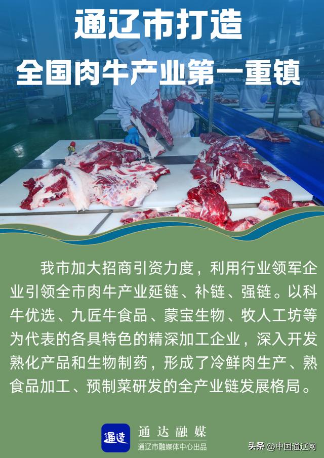 通辽市打造全国肉牛产业第一重镇