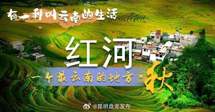 味道红河丨没有人比建水人更懂吃沙莜