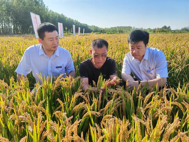 盛京银行召开“贯彻落实党的二十届三中全会精神 助力乡村振兴及县域金融发展”工作会议