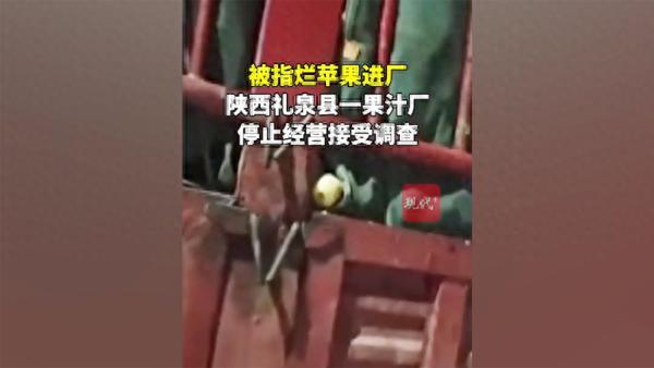 被指烂苹果进厂，陕西礼泉一果蔬汁厂停止经营接受调查