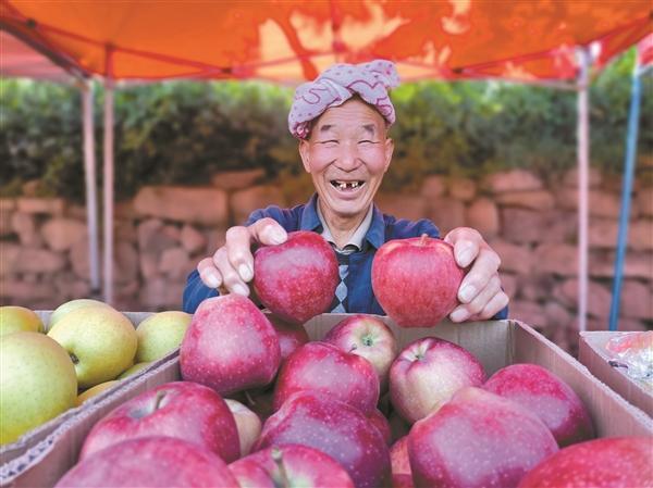 赏田园风光到太谷