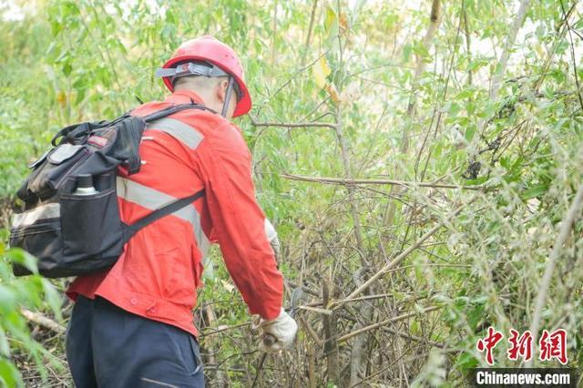 高温下的铁路“搜山人”：搜山扫危护安全