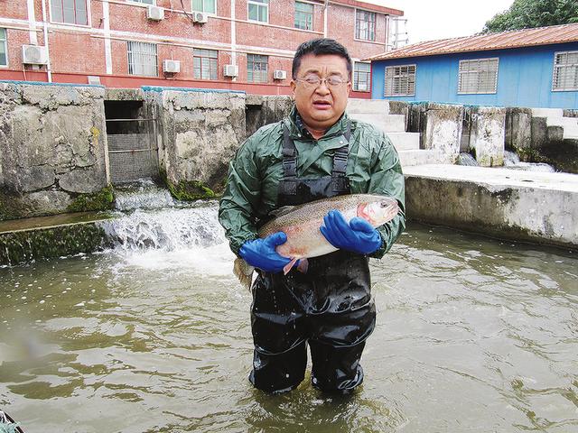 宝鸡：养殖冷水鱼 带出“热产业”