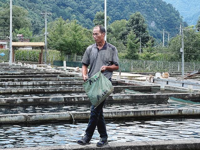 宝鸡：养殖冷水鱼 带出“热产业”