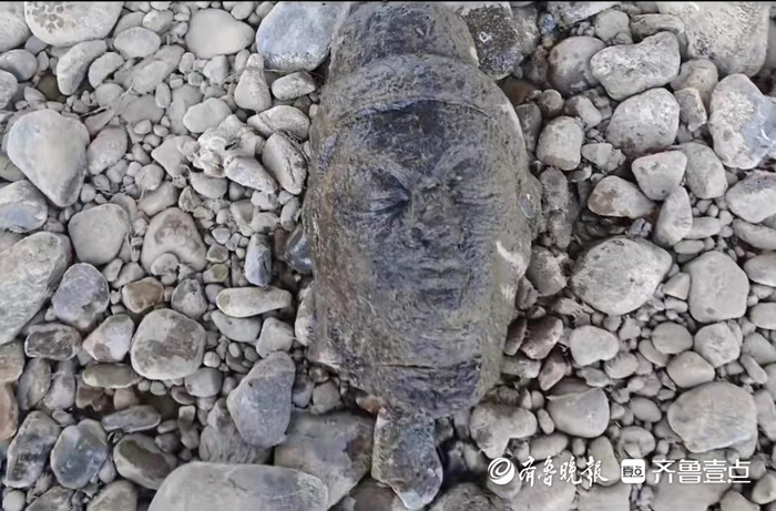 龙门石窟旁钓鱼“钓”到佛头,研究院:正在鉴定,并非首次发现-龙门石窟门口的河