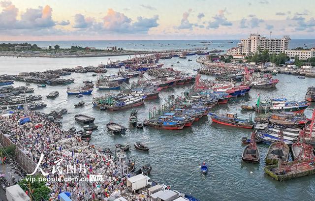 广西北海：“开海”捕捞获丰收 渔港码头交易忙