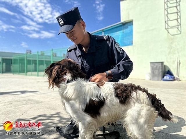 警犬技术专业都学啥？网友：入学会发小狗吗？