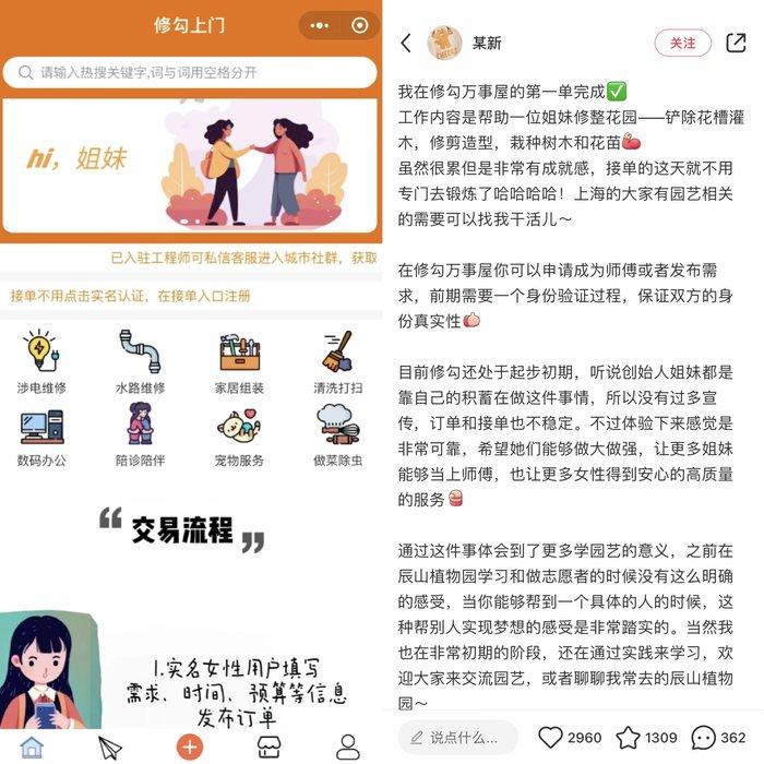 新独居时代到来，独而不孤的青年人都在买什么？