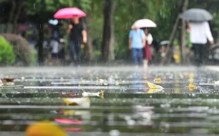 刚刚确认：又回来了！杭州要热到啥时候……