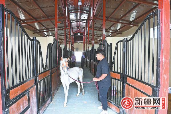 策马扬鞭，做活“马上旅游”