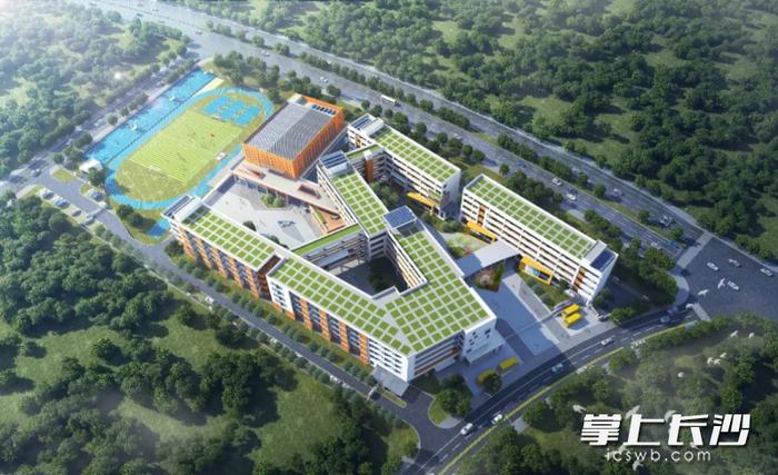 梅溪湖二期木棉小学年内启动建设，2026年建成