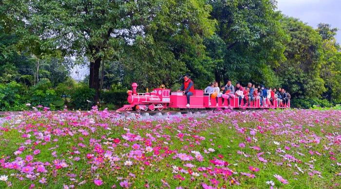 送200份门票！来佛山宝藏生态园，get高尔夫初体验