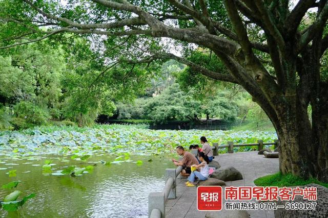 高温+雷雨！广西闷热天气将持续到……