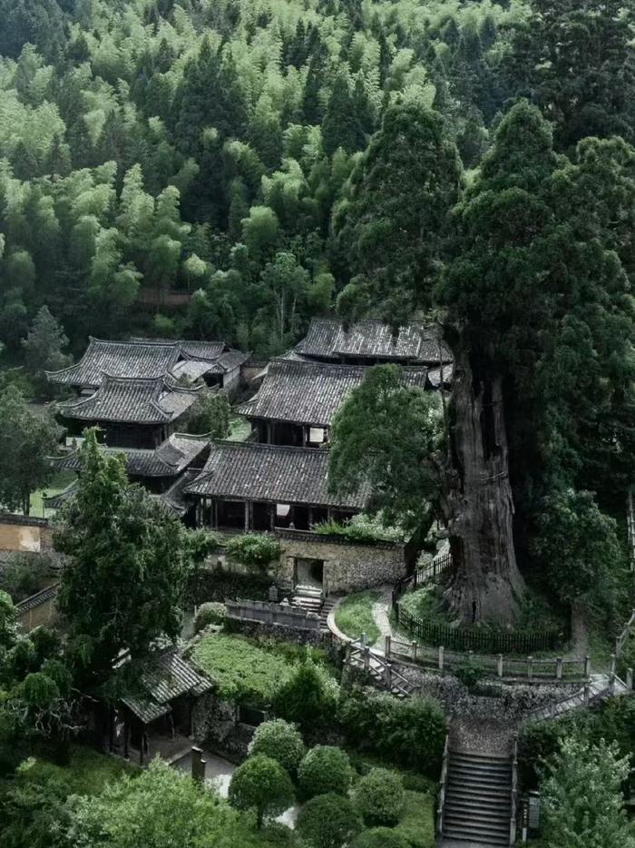 《黑神话:悟空》带火景宁旅游！民宿农家乐“一房难求”