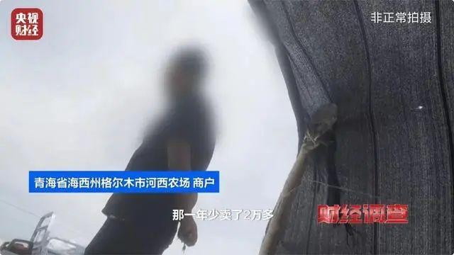 “枸杞养生”变加速肾功能衰竭，央视曝光“毒枸杞”现场：被熏到呼吸困难、泪流不止