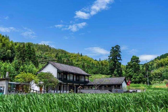 《黑神话:悟空》带火景宁旅游！民宿农家乐“一房难求”