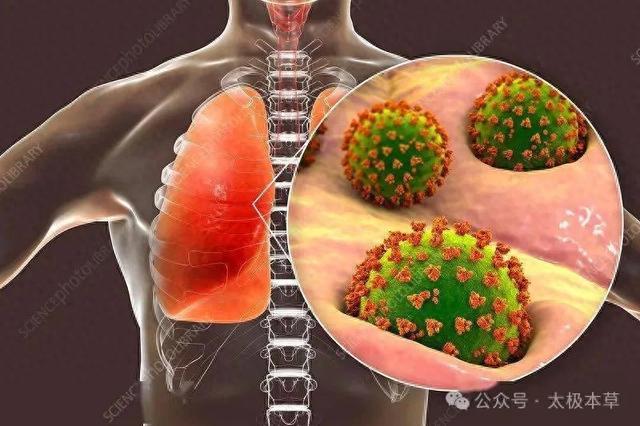 老中医治疗肺炎经验名方(图1)