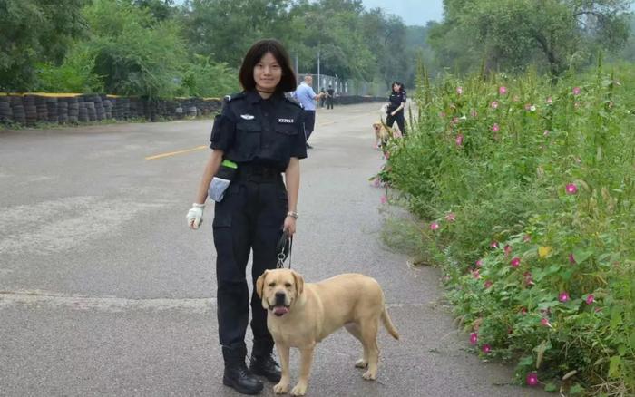 警犬技术专业学生抽签选警犬！这个专业平时都学啥？