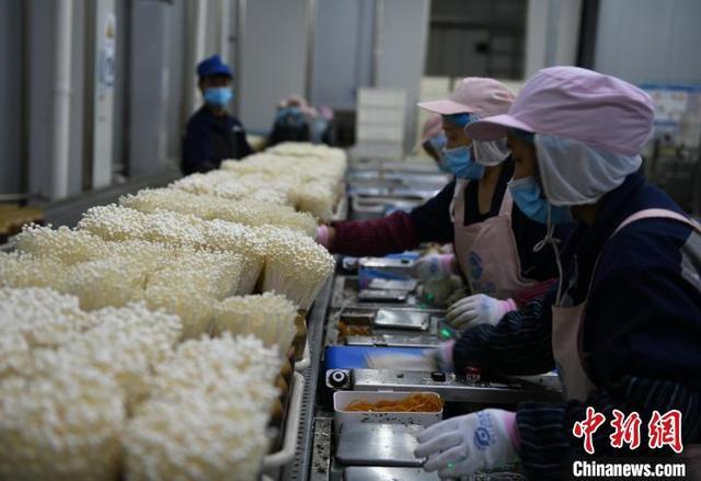 重庆万盛：食用菌企业生产忙 年产5万吨带动村民致富