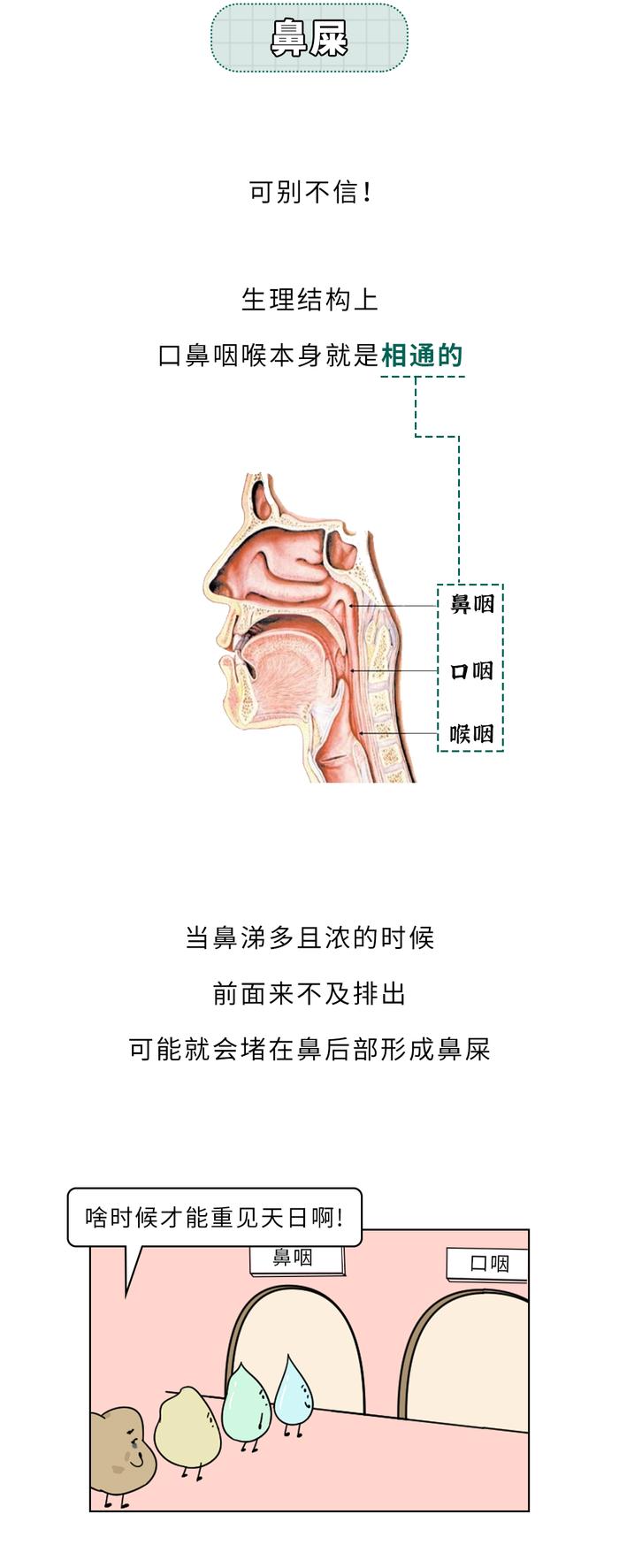 嘴里咳出来贼臭的黄色小颗粒，到底是啥？？？