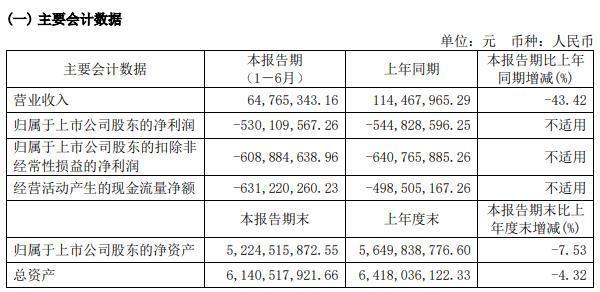 寒武纪辟谣公司专家参加策略会：虚假信息已造成严重负面影响