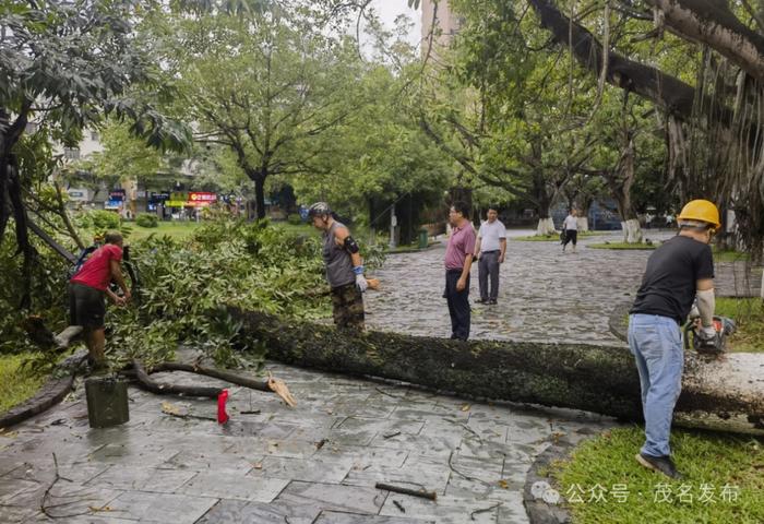 万众一心，安全守护！高州市全力筑牢防台风安全防线