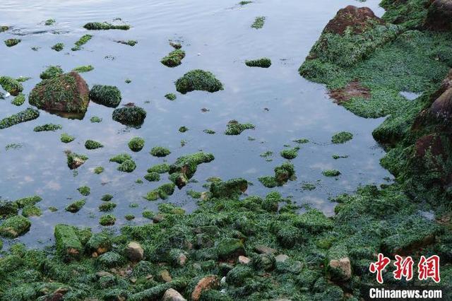 探访浙江东极诸岛：昔日偏远海岛变身网红打卡地