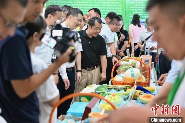 “山东莘县粤港澳大湾区菜篮子产品深圳配送中心”揭牌